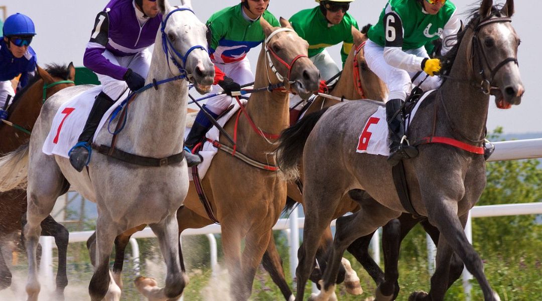 Le Meilleur Pronostiqueur pour les Courses de Chevaux : Comment Faire le Bon Choix