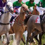 Le Meilleur Pronostiqueur pour les Courses de Chevaux : Comment Faire le Bon Choix