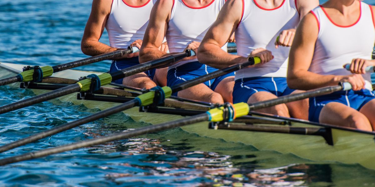 Meilleur pronostiqueur en aviron