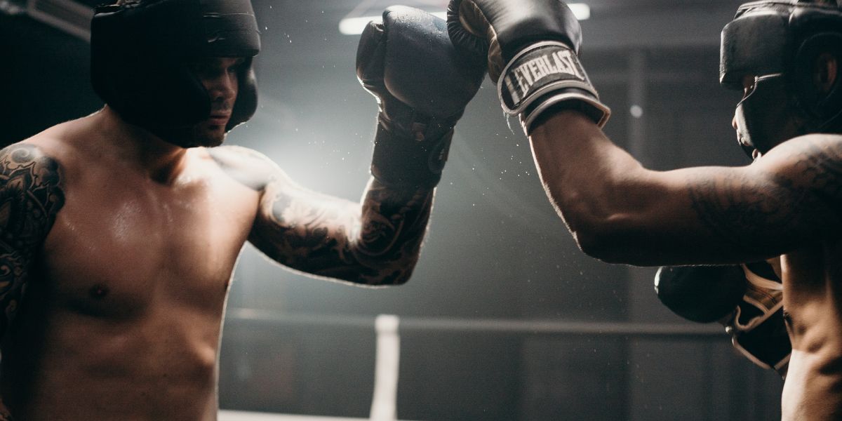 pronostiqueur de boxe