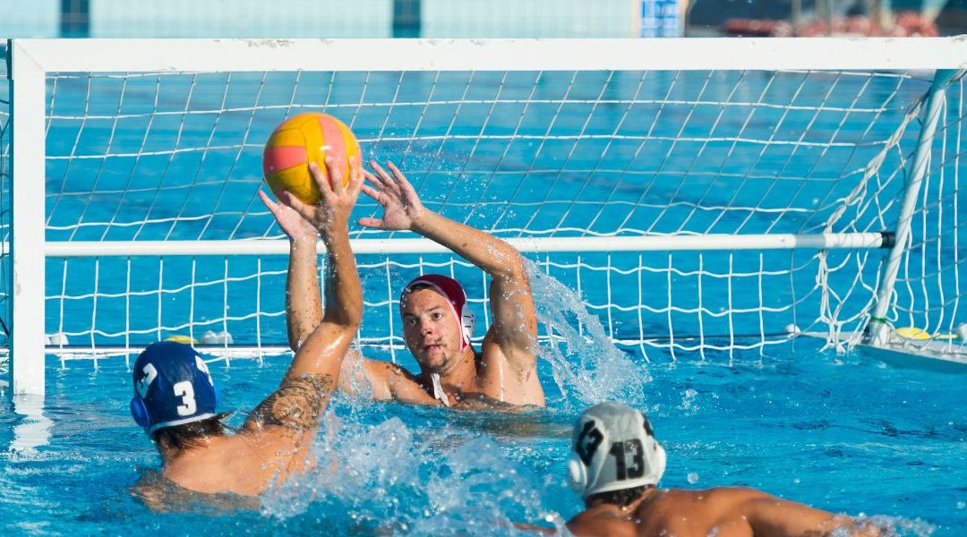 Meilleur pronostiqueur water polo comment trouver le bon