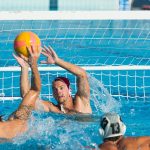 Meilleur pronostiqueur water polo comment trouver le bon
