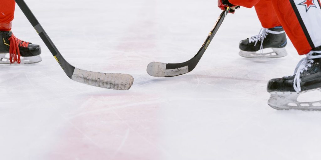 Meilleur pronostiqueur bandy