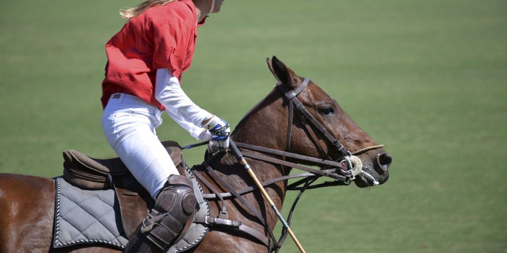 Meilleur pronostiqueur polo