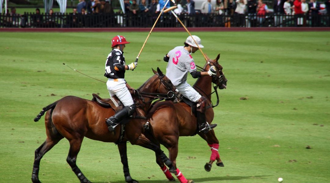 Meilleur pronostiqueur polo astuces pour le devenir