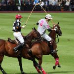 Meilleur pronostiqueur polo astuces pour le devenir