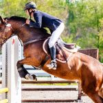 Meilleur pronostiqueur saut d'obstacles: l'importance de trouver le bon