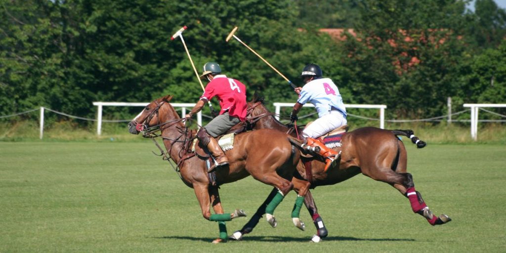 pronostiqueur polo