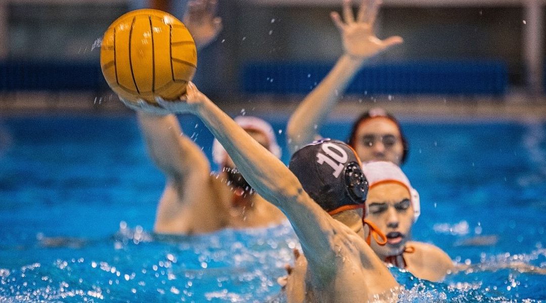 Découvrir le meilleur pronostiqueur de waterpolo