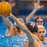 Découvrir le meilleur pronostiqueur de waterpolo